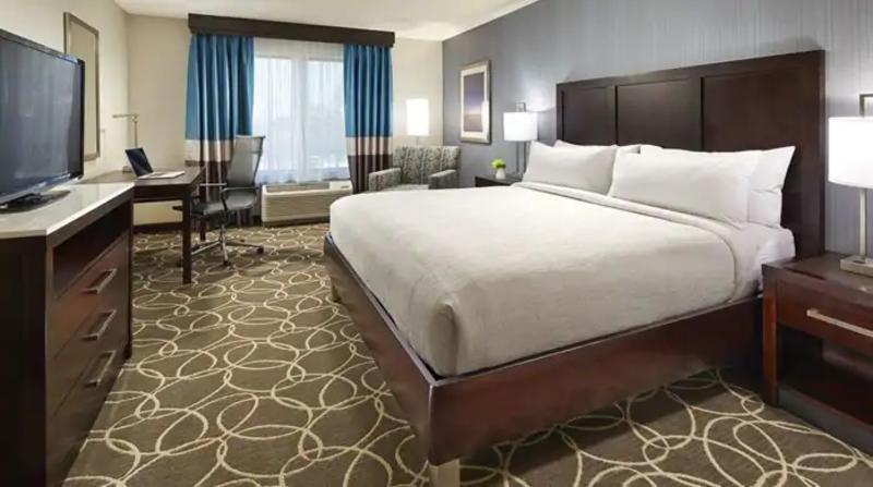 Hilton Garden Inn Tampa - Wesley Chapel Bagian luar foto
